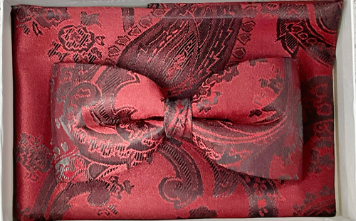 DEEP MAROON PAISLEY image 0